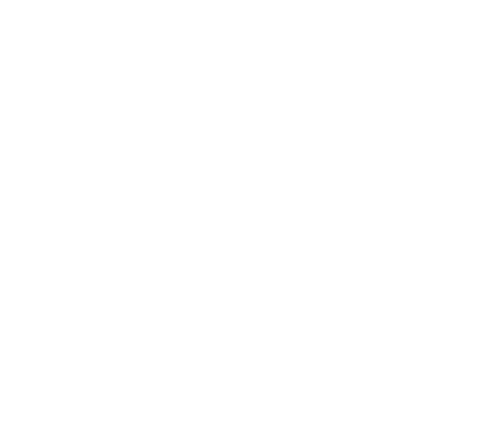SOAP MONEY wordmark logo